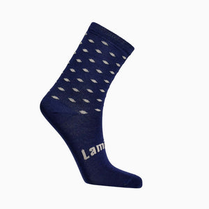 merino wool childrens socks, blue with oatmeal spots