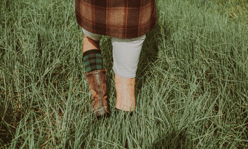 The benefits of men's merino socks showcased as someone walks through tall grass.