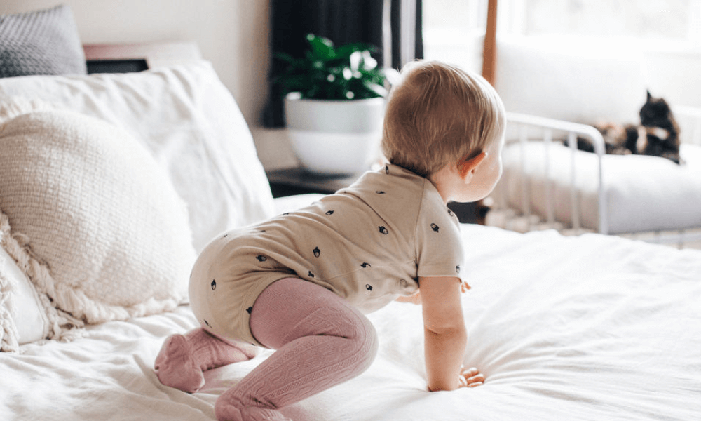 Merino Wool Tights for Babies