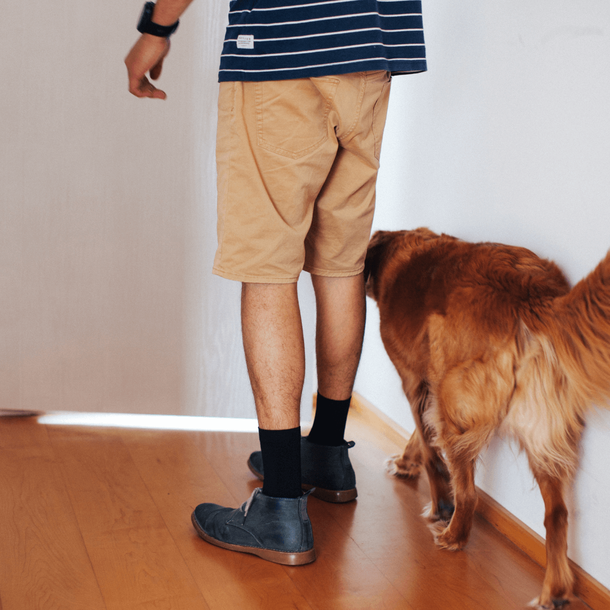 merino wool socks black plain man woman nz aus